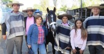 Criadero Don Reinerio, una linda historia de amor por el caballo chileno
