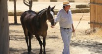Transportando caballos e ilusiones hasta el secano costero