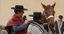 José Luis Pinochet: Quiero apoyar a nuestro caballo y al directorio de la Federación