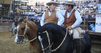 Ariel Scibilia y la pandemia en Mendoza: Seguimos trabajando caballos con las medidas necesarias
