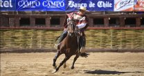 Guillermo Barra sigue firme: Para la Rienda tengo una yegua que se ha visto bien