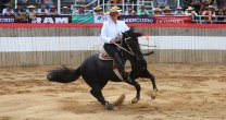 Romané Soto: CaballoyRodeo es una herramienta importantísima para todos a los que nos gustan los caballos