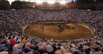 Estelar 60 años de la Federación del Rodeo: Una conversación con Campeones de Chile