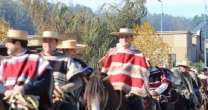 CaballoyRodeo en Vivo: Revisa la gran Manifestación por las Tradiciones del Campo Chileno