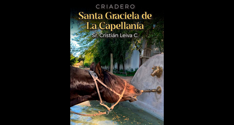 Criadero Santa Graciela de La Capellanía tiene selecto remate este miércoles