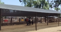 Federación del Rodeo Chileno retomó actividades de hipoterapia en la Monumental de Rancagua