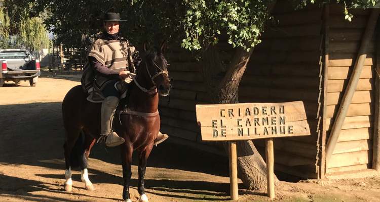 Francisco González y su llegada a El Carmen de Nilahue: 
