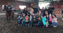 Club Llanquihue acercó el caballo chileno y el rodeo a escolares