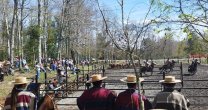 La aparta de ganado de los Criadores de Cautín entusiasmó al público en Villarrica