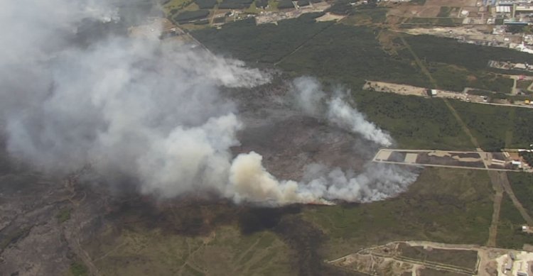 Arauco llamó a prevenir incendios rurales ante nueva ola de calor